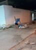 Tolerância zero com os sujões: Leitor flagra morador descartando lixo em via pública: “Flagrei ele hoje e vou flagrar sempre”