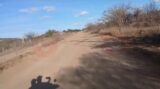 Produtores rurais clamam por melhorias na Estrada da Adutora em Juazeiro: “Impacta na economia do município que vive da agricultura”