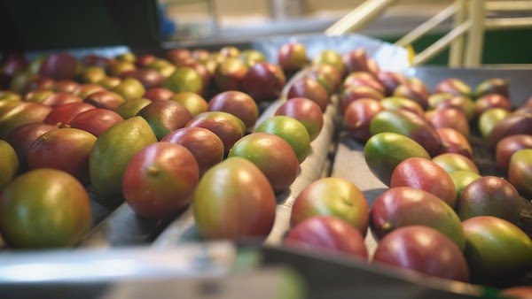 whatsapp-image-2023-10-10-at-18.35.52-1-