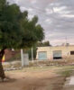 Morador do Piranga 2, em Juazeiro, reclama de ausência de serviços de limpeza e capina no bairro