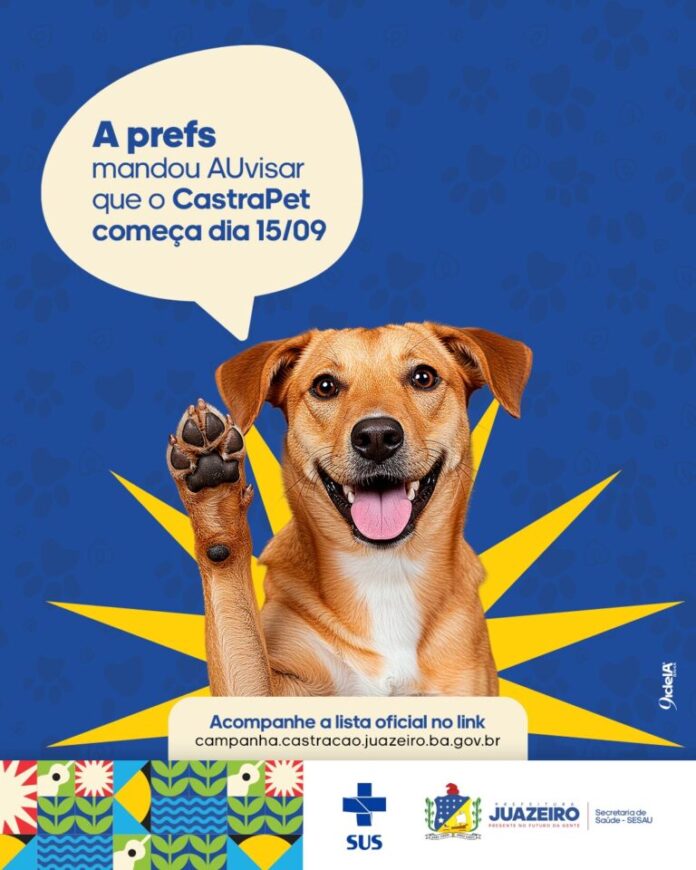 WhatsApp-Image-2025-09-11-at-14.26.50-768x960