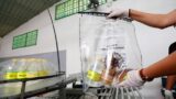 Bahia: Operação integrada do Governo do Estado contra bebidas adulteradas recolhe primeiras amostras para análise