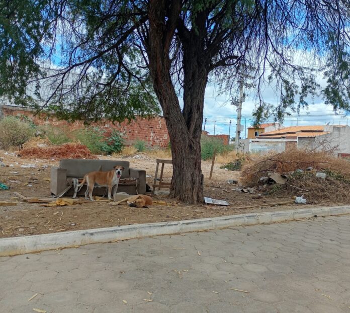 IMG-20251024-WA0079
