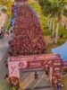Recorde de inscrições: Circuito Caixa esgota 3 mil vagas e impulsiona setor do turismo em Juazeiro; evento acontece amanhã (5)