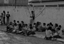 Sempre Aos Domingos: “Livros, cultura, música e arte. Retomamos nosso protagonismo? por Sibelle Fonseca