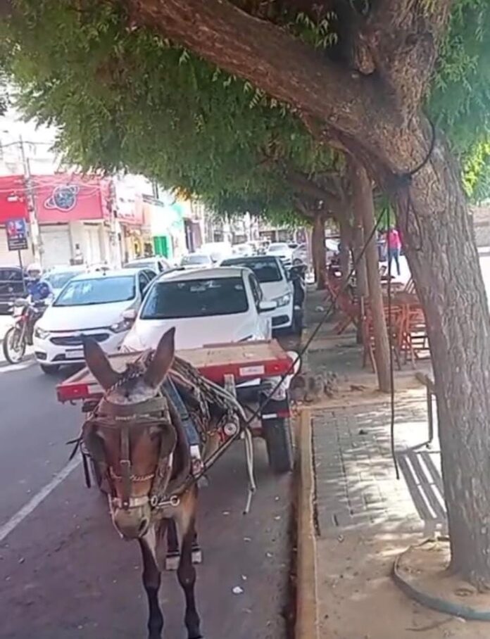 WhatsApp Image 2025-11-28 at 18.48.26