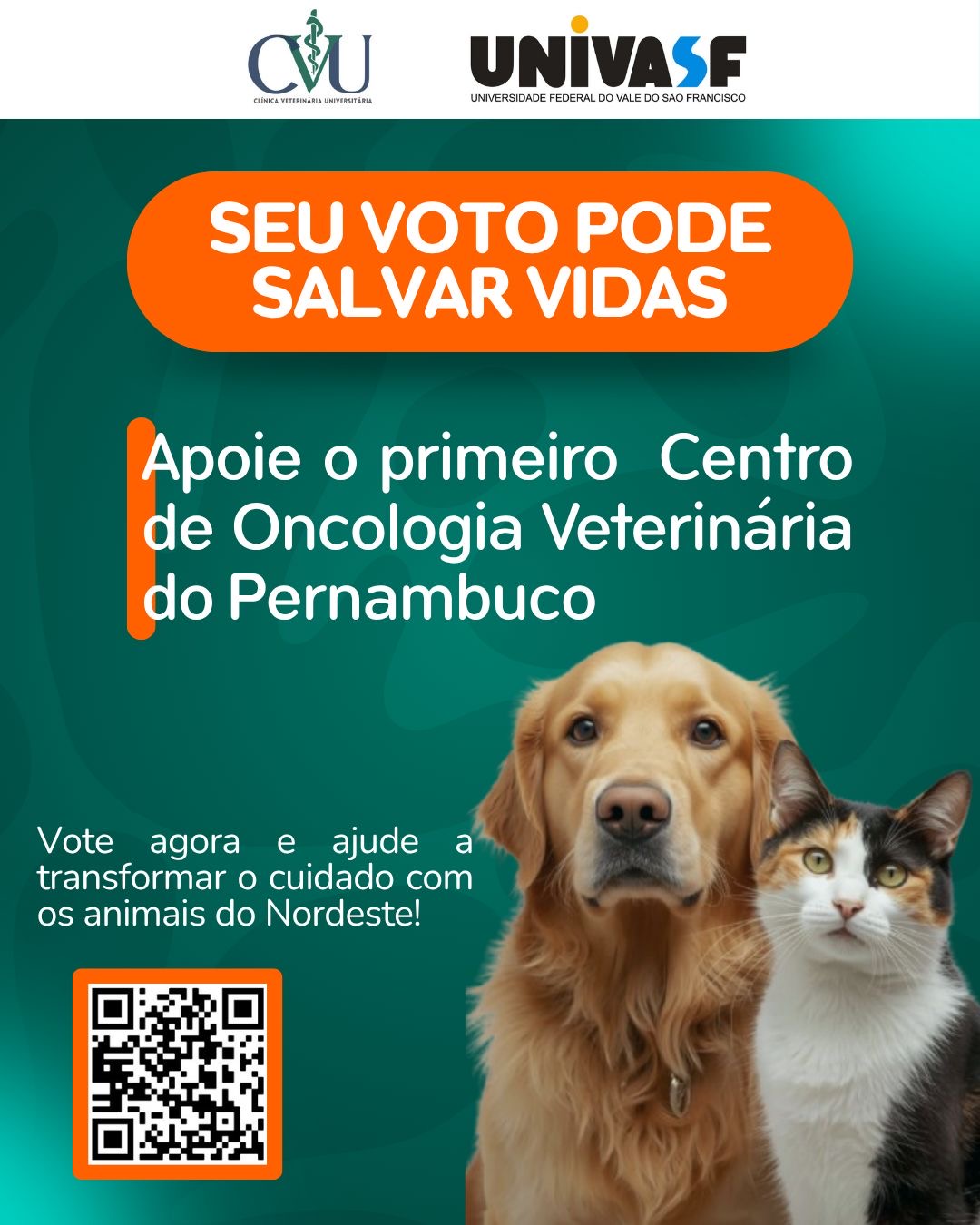 Cada voto conta: projeto que pode criar o primeiro Centro de