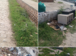 “Parece que estamos morando no mato”: Morador relata abandono e acúmulo de lixo na Rua Ermi Ferrari Magalhães, em Juazeiro, e pede ações do poder público