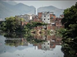 IBGE: desigualdade brasileira volta a cair e chega ao menor nível da série