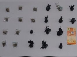 Homem é preso em flagrante por tráfico de drogas em Curaçá