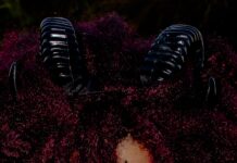 Maripoza lança álbum Besta Fera com show inédito no Sesc Petrolina no sábado (31) ingressos já estão à venda