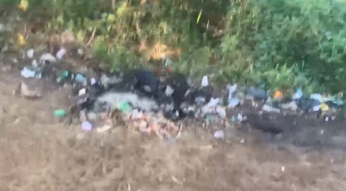 Leitor flagra sujeira deixada por banhistas na Croinha, às margens do Rio São Francisco, em Juazeiro