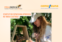 Startup POLLINOVA é aprovada no ‘Programa Inova Caatinga’ e fortalece inovação científica no semiárido