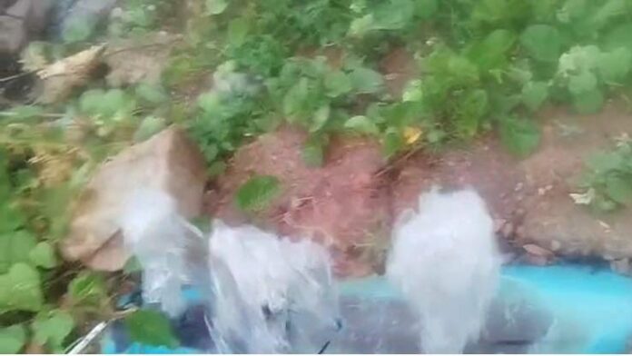 WhatsApp Image 2026-01-03 at 12.26.01