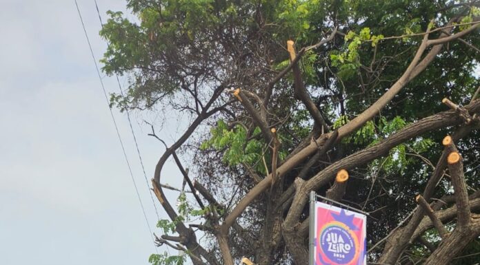 Moradora de Juazeiro critica decoração do Carnaval de Juazeiro 2026: “Tem cara de propaganda institucional”