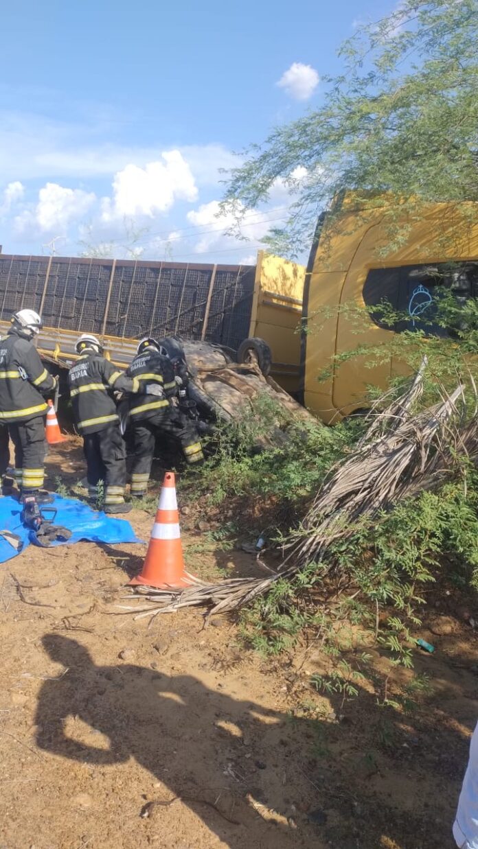 cf7f7332-8d62-4350-8cd9-c4d97083661c