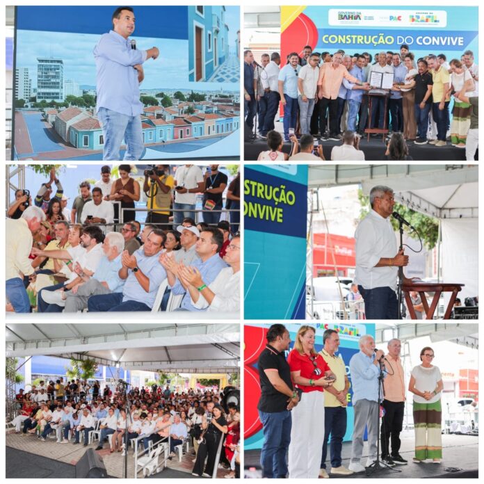 ef7b6c85-3f8d-485d-82d4-358b6325e0d0