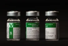 Aplicação da vacina da dengue do Butantan começará a partir do dia 17