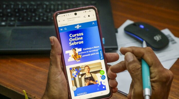 Sebrae oferece 417 cursos online gratuitos para pequenos negócios