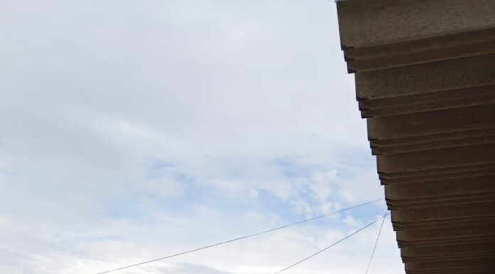 Usuários criticam longas filas e falta de estrutura na Farmácia Central de Juazeiro; SESAU atribui alta demanda ao feriado e diz manter sete guichês em funcionamento