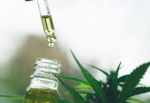 Justiça Federal concede habeas corpus para cultivo medicinal de Cannabis em Petrolina