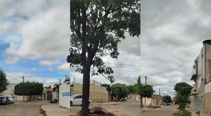 “O bairro está abandonado”: moradores do centenário, em Juazeiro, cobram ações do poder público no local; SESP responde