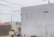 “Essa cena vem me tirando a paz”: Moradora denuncia suposto caso de maus tratos contra cão que vive acorrentado e exposto ao sol, no Ouro Preto, Petrolina