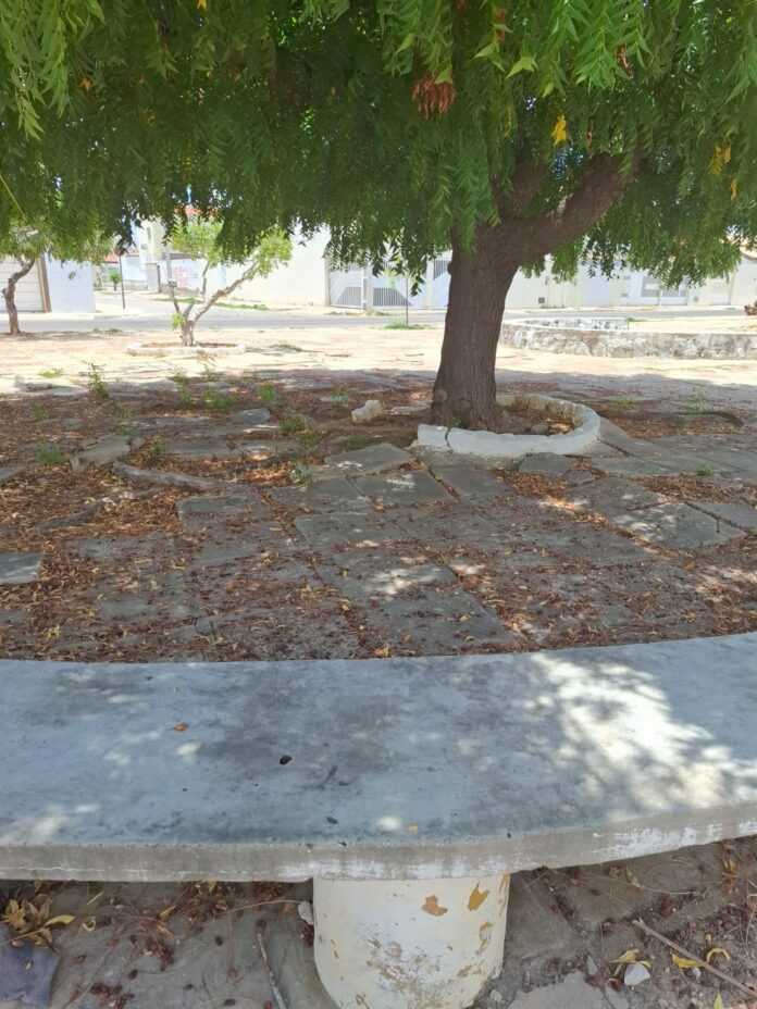 WhatsApp Image 2026-02-24 at 18.05.01