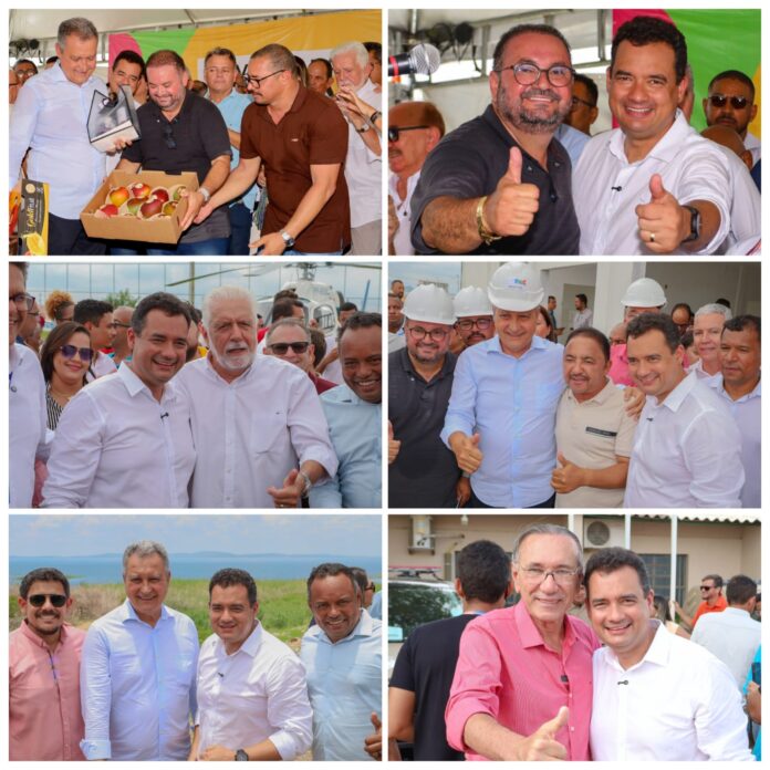 WhatsApp Image 2026-02-24 at 18.56.56 (2)