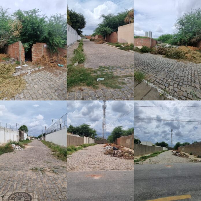 WhatsApp Image 2026-02-25 at 16.01.00