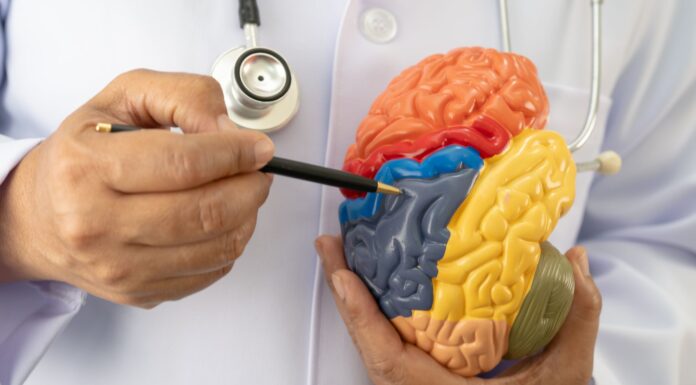 Fevereiro Roxo amplia debate sobre doenças crônicas e os direitos de pessoas com lúpus, fibromialgia e Alzheimer