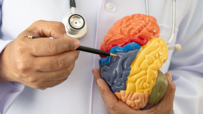 a224b54d-f63e-46ab-b6ab-7775607f7ebc