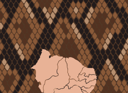 Projeto de extensão do Cemafauna publica cartilha técnica sobre serpentes peçonhentas da Caatinga