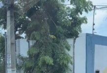 Crescimento da população em situação de rua em Juazeiro e Petrolina chama atenção de moradores: “Precisam de cuidado, de políticas públicas sérias”