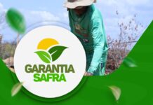 Prefeitura de Casa Nova informa início do pagamento do Garantia-Safra 2025/2026