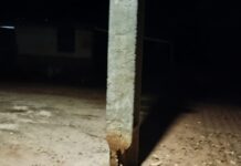 Moradora alerta sobre poste prestes a cair na comunidade de Gangorra, no distrito do Salitre e cobra providências à Coelba