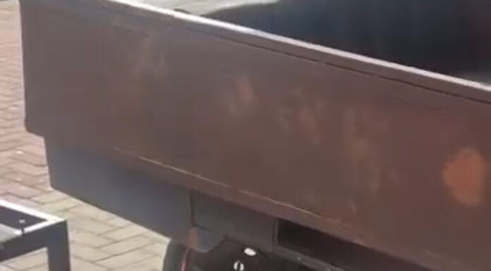 Leitor denuncia suposto caso de maus-tratos contra cachorro no Centro de Juazeiro