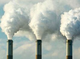 Emissões de gases de efeito estufa no Brasil caem 16,7% em 2024