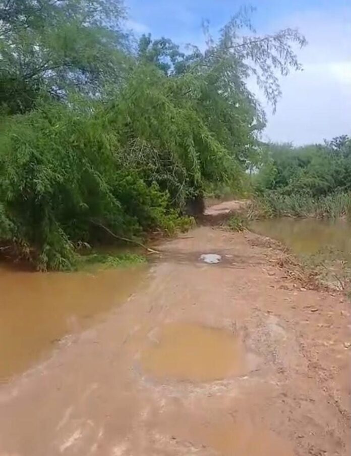 WhatsApp Image 2026-03-02 at 17.37.51 (1)