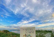 Antologia “Do afeto, a carne” celebra vozes LGBTQIAPN+ no Vale do São Francisco