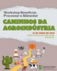 IFSertãoPE promove Workshop “Beneficiar, Processar e Alimentar: Caminhos da Agroindústria”