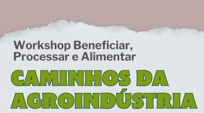 IFSertãoPE promove Workshop “Beneficiar, Processar e Alimentar: Caminhos da Agroindústria”