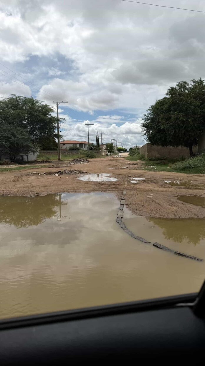 IMG_20260404_140304_089