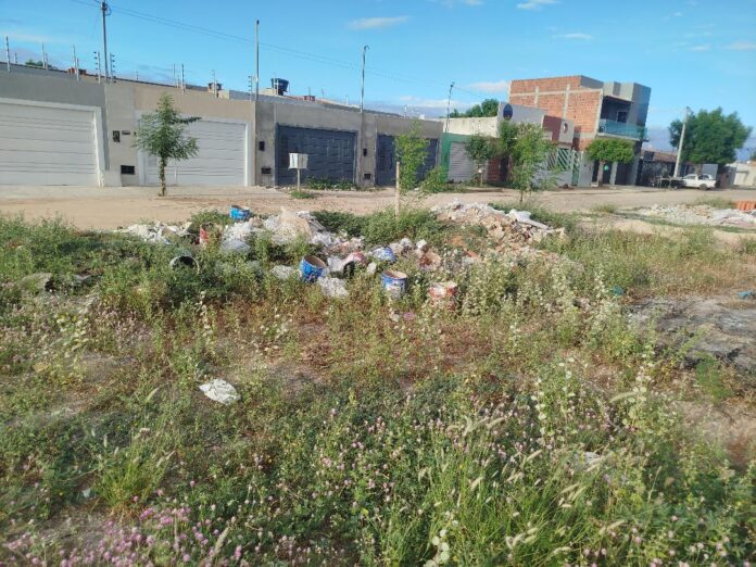 IMG_20260414_120206_933