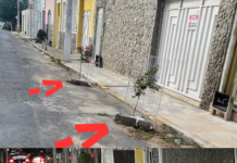 Morador da Rua Visconde do Rio Branco, em Juazeiro, chama atenção para a ocupação irregular do espaço público: “Árvores e estruturas montadas no meio da rua”