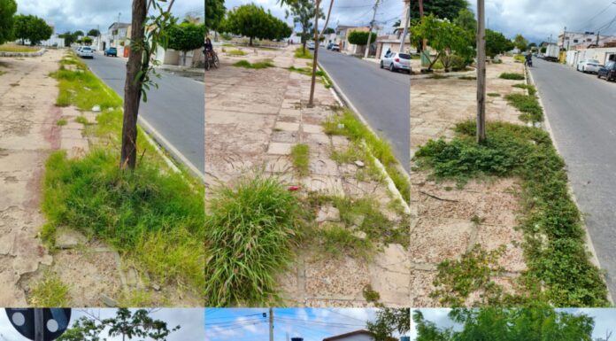 “Só pedimos o básico. É muito?”: Moradores do Bairro Centenário, Juazeiro, cobram serviços de manutenção na Praça Américo Tanuri
