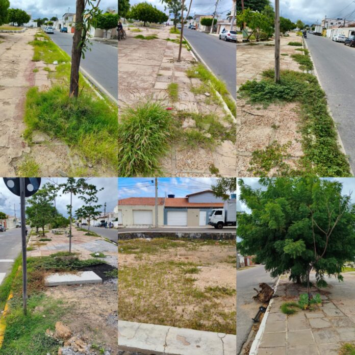 WhatsApp Image 2026-04-14 at 16.36.38