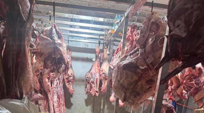 Procon em Ação: Casa de carnes na Travessa da Maravilha, Juazeiro, é multada em R$ 40 mil por venda de produtos vencidos e em condições impróprias para consumo