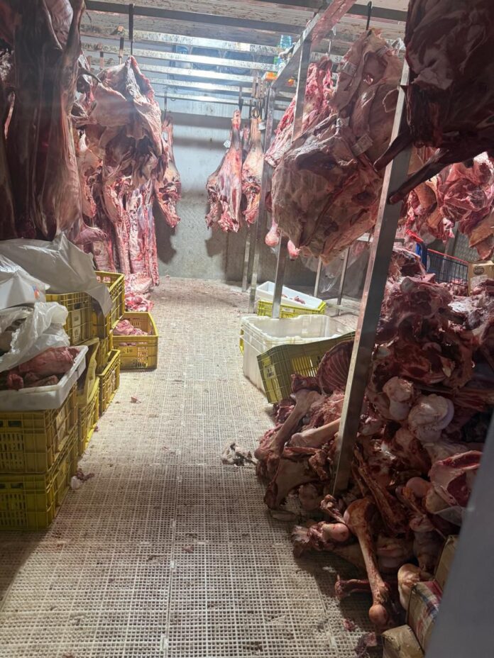 WhatsApp Image 2026-04-14 at 18.52.19