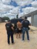 Operação Nexus: Jovem de 21 anos é preso em flagrante por tráfico de drogas, no bairro Palmares, Juazeiro
